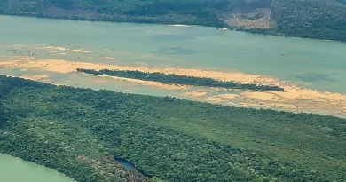 Operação busca retirar invasores de Terra Indígena Munduruku, no Pará