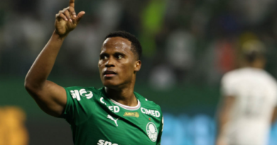 Palmeiras derrota Botafogo e assume liderança do Campeonato Brasileiro