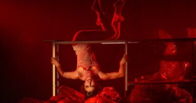 Circo, música e exposições movimentam a agenda cultural do DF no fim de semana