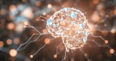 Projeto apoiado pela FAPDF investiga desafios e limites para uso responsável da inteligência artificial no Brasil Projeto apoiado pela FAPDF investiga desafios e limites para uso responsável da inteligência artificial no Brasil